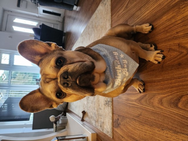 Cooper